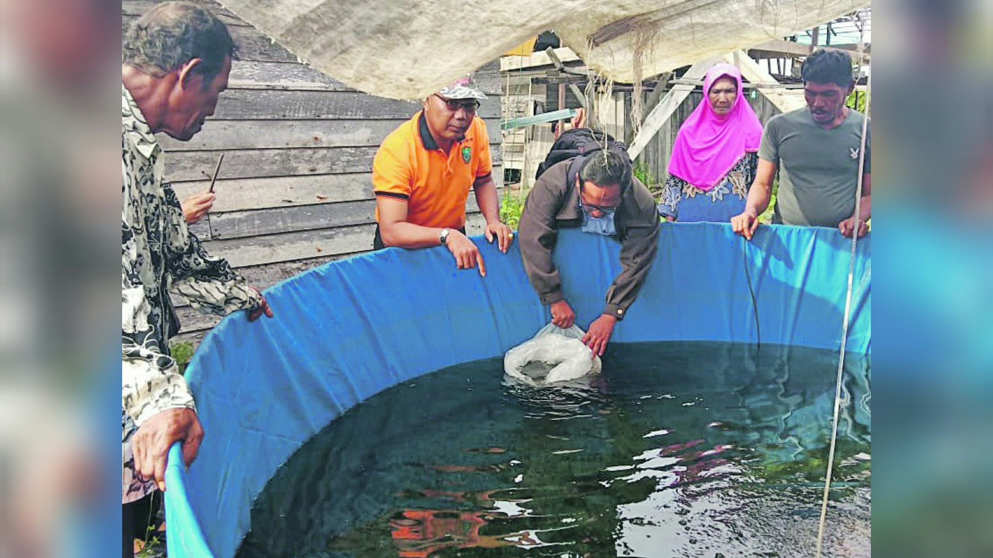 Dinas Perikanan Kotim Tabur 70 Ribu Benih Lele