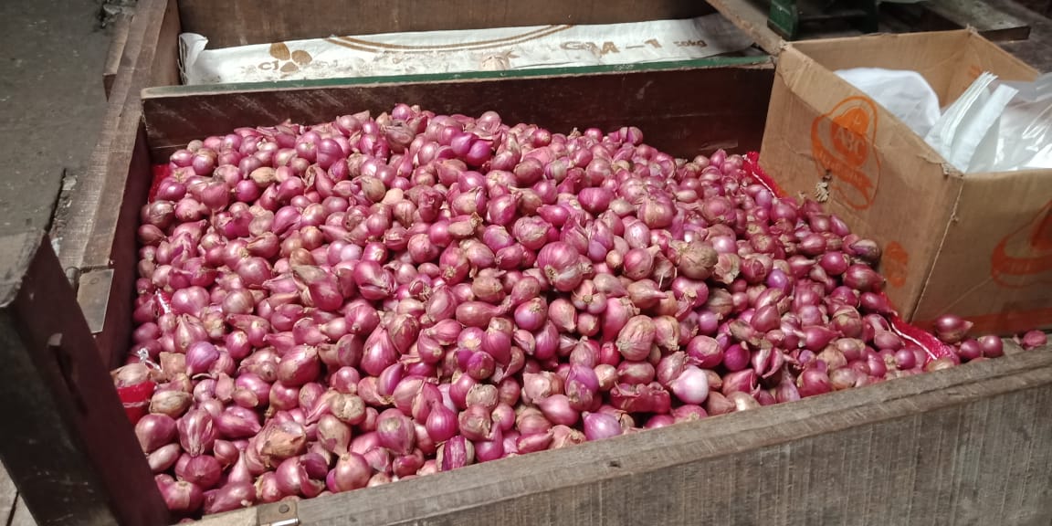 Optimalkan Pengembangan Bawang Merah