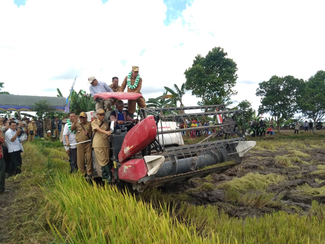 Bulog Bakal Bangun Gudang Penampungan Panen Petani