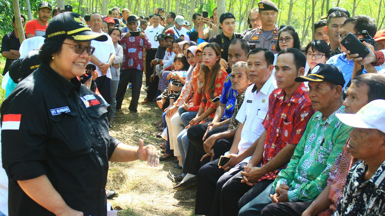 Menteri LHK Sebut Hutan Sosial Pulpis Jadi Percontohan