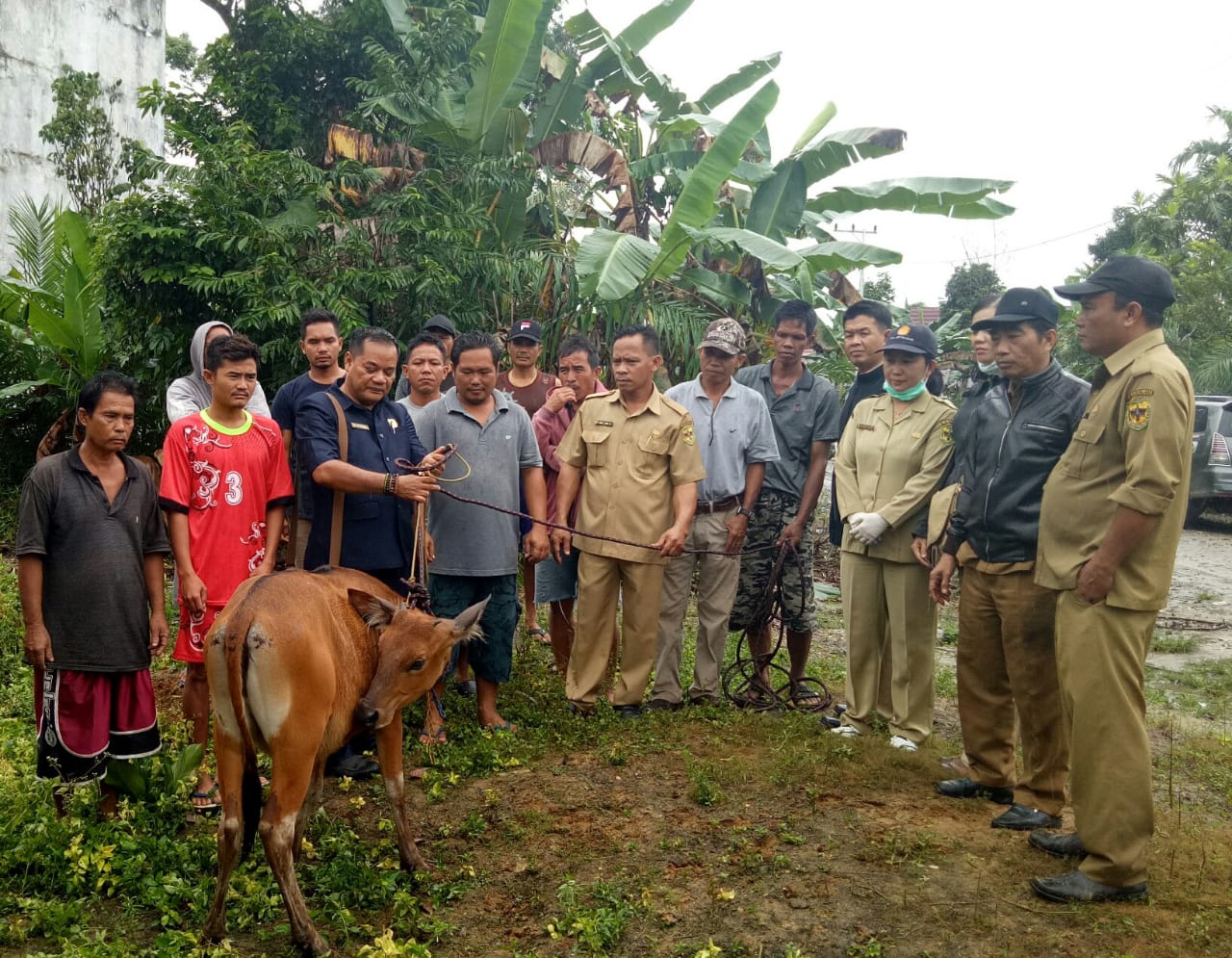 Untung J. Bangas Dukung Antusias Warganya Beternak Sapi