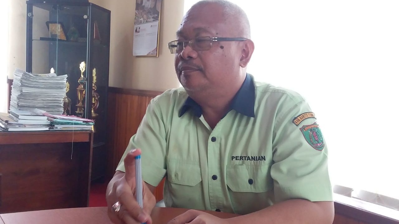 Dinas pertanian Targetkan 8.000 Vaksin Rabies Tahun ini