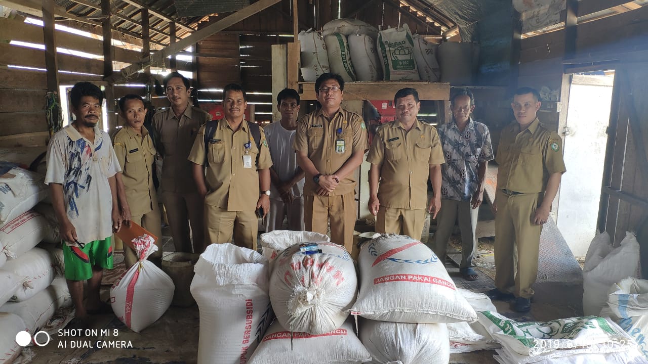 Stok Pangan Aman Jelang Idul Adha