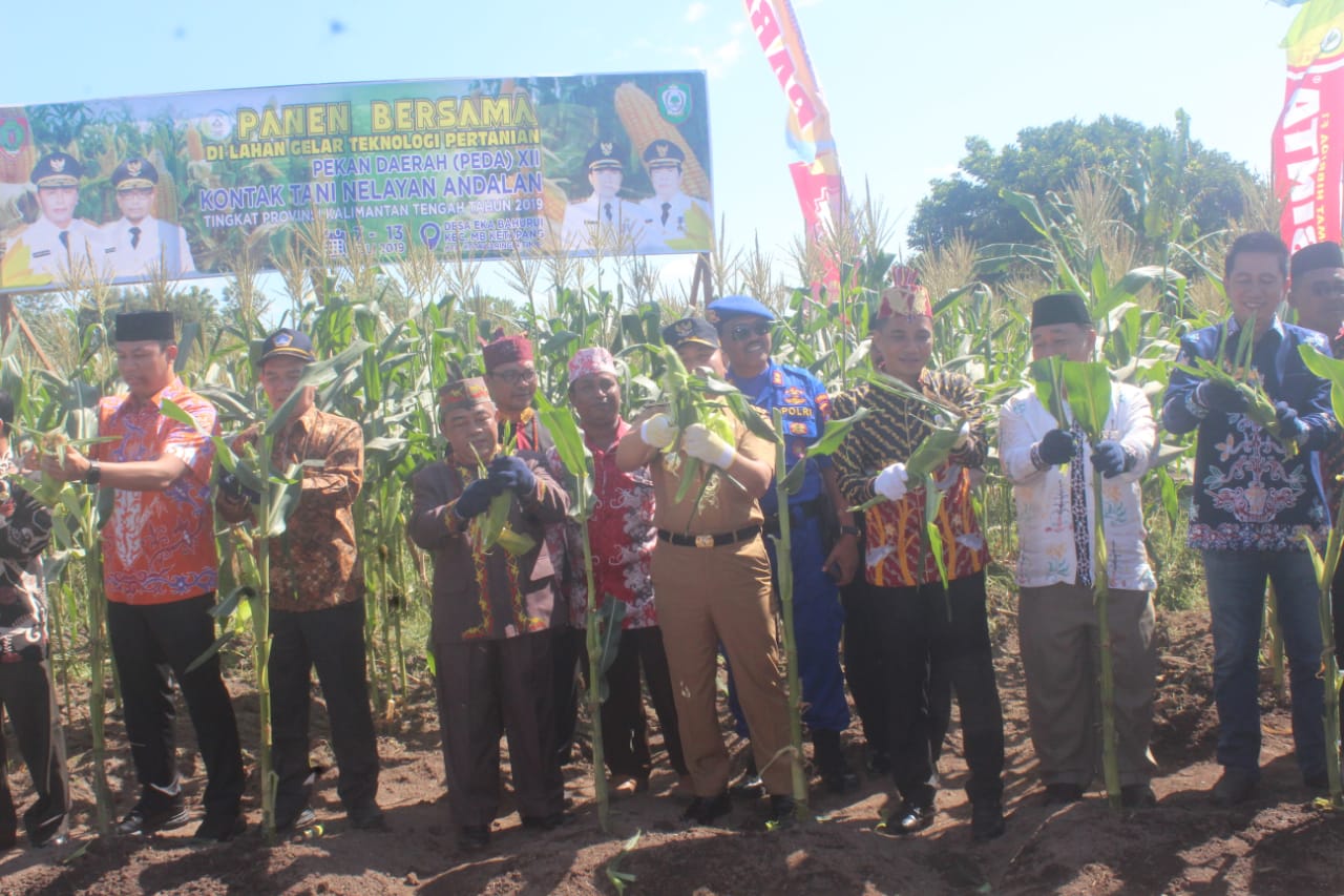 Dorong Petani Meningkatkan Produksi Jagung Dorong Petani Meningkatkan Produksi Jagung
