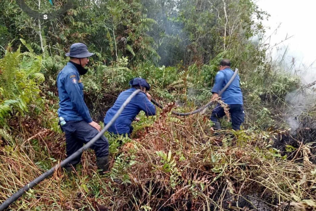 Perlu Pengadaan Mobil Damkar Tiap Kecamatan