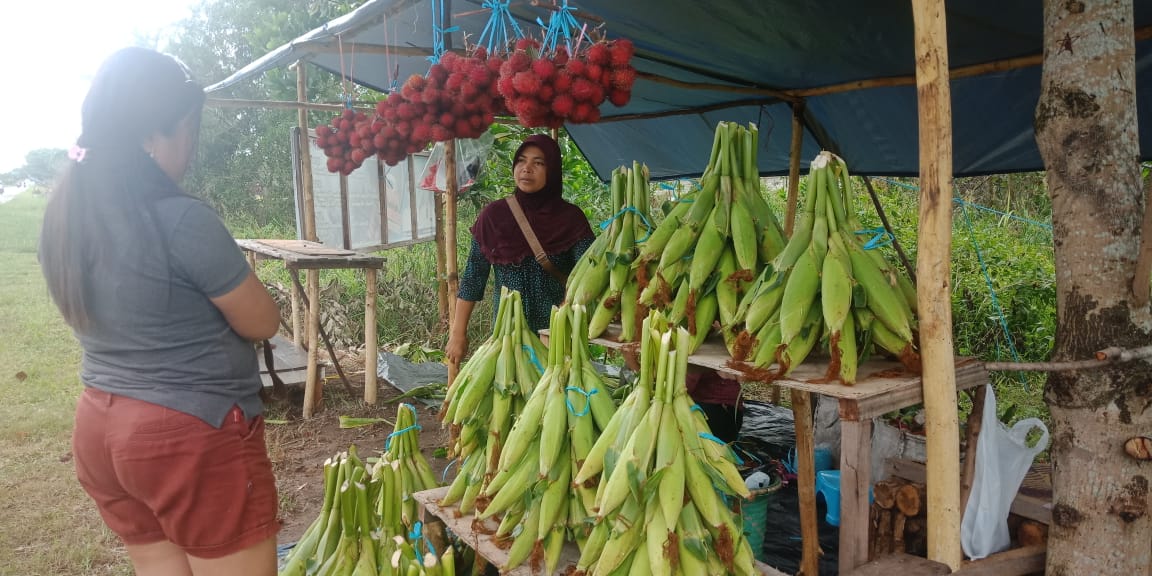 Jelang Akhir Tahun Penjual Jagung Menjamur