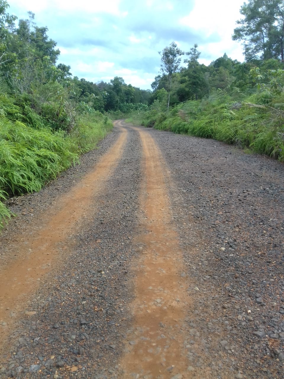 Empat Desa di Barsel Ini Sepakat Benahi Jalan Antardesa