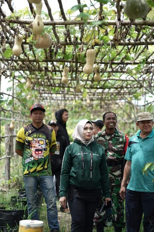 Kebun Buah Berpotensi Jadi Agrowisata