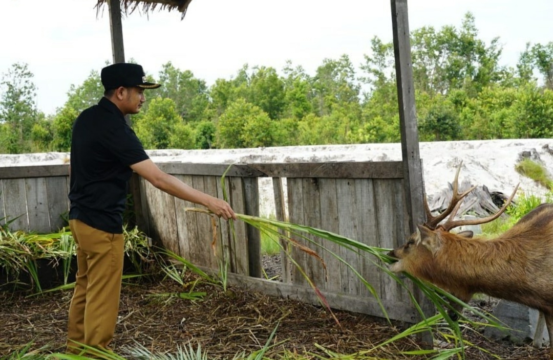Pengembangan Ternak Rusa Didukung Walikota Palangka Raya