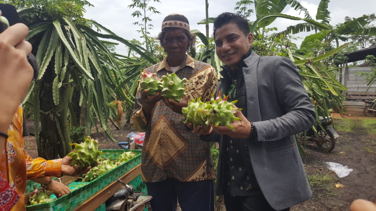 Buah Naga Mampu Meningkatkan Imunitas Tubuh