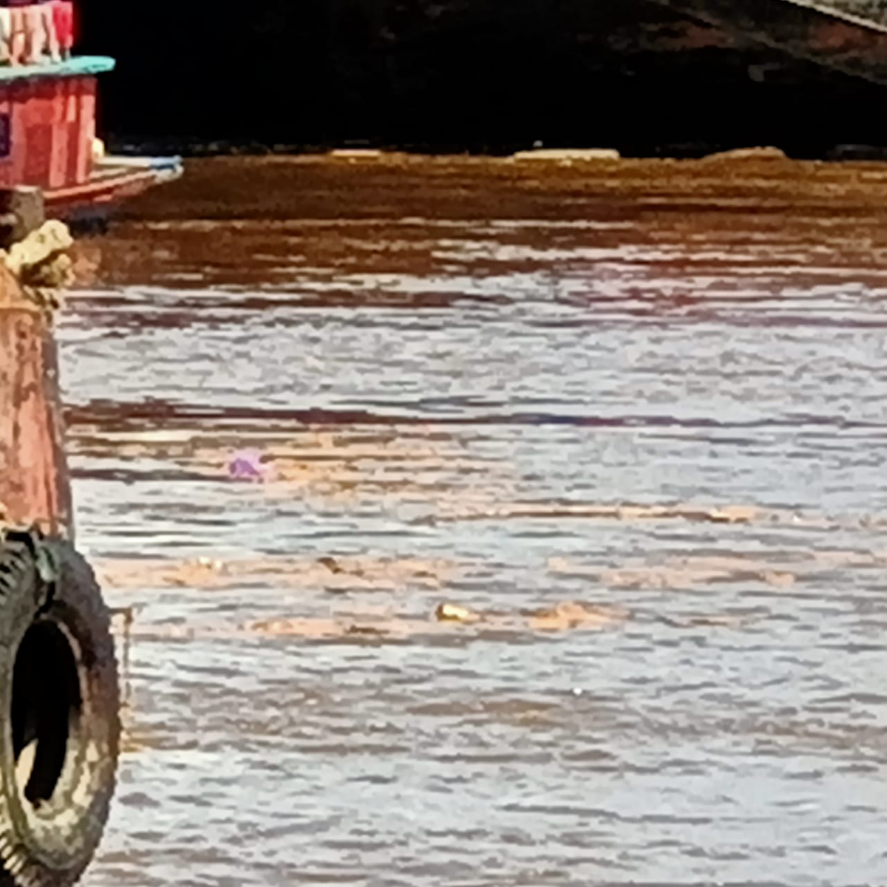CPO PT. RMJ Cemari Sungai Barito