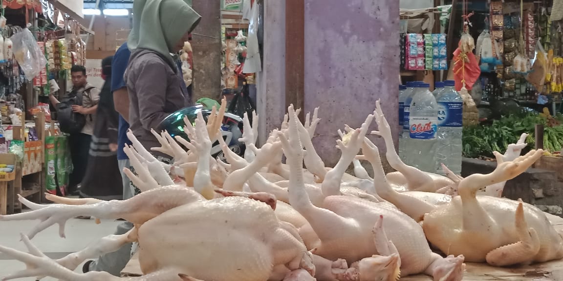 Momen Idul Fitri Dibarengi dengan Meroketnya Harga Ayam