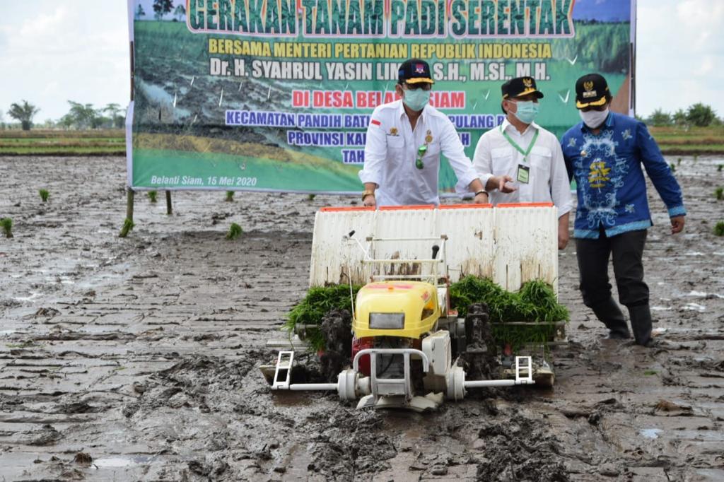 Wujudkan Ketahanan Pangan, Gubernur dan Menteri Tanam Padi
