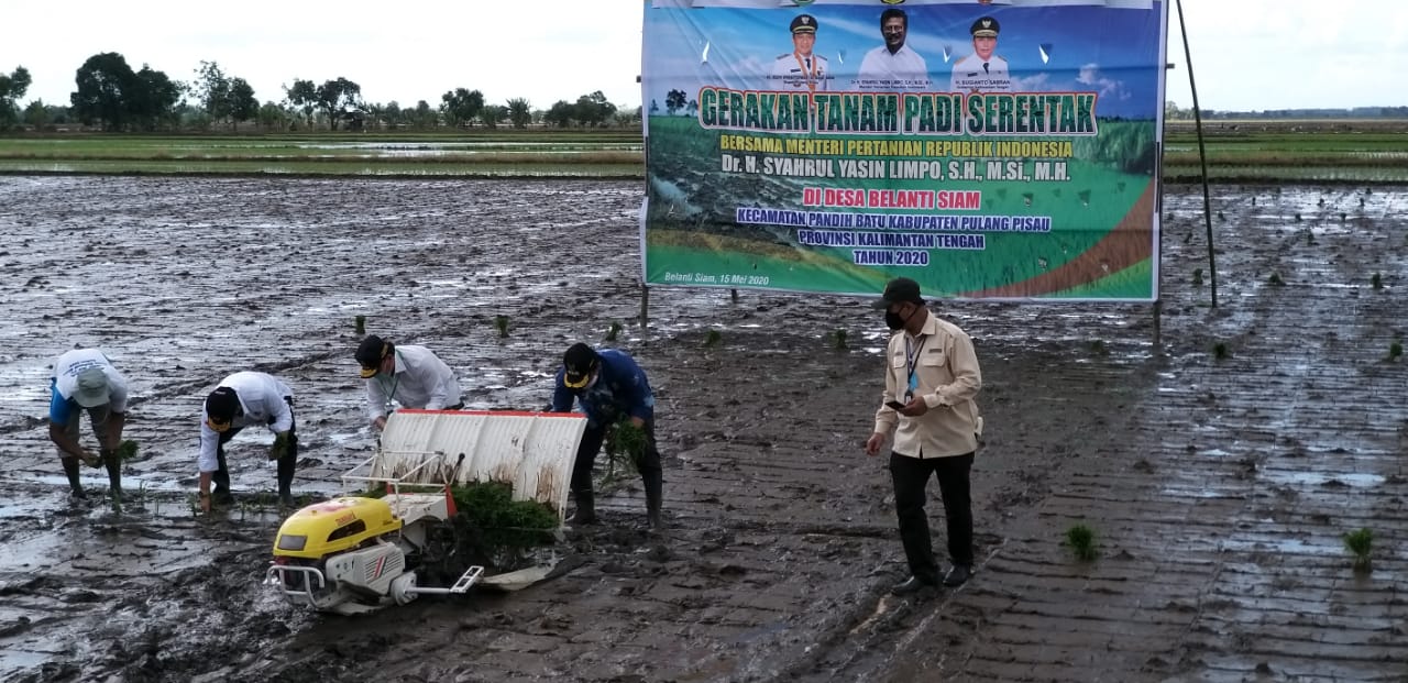 Kalteng Janji Siapkan Penanganan Lahan dan Irigasi di Kawasan Cagar Pangan