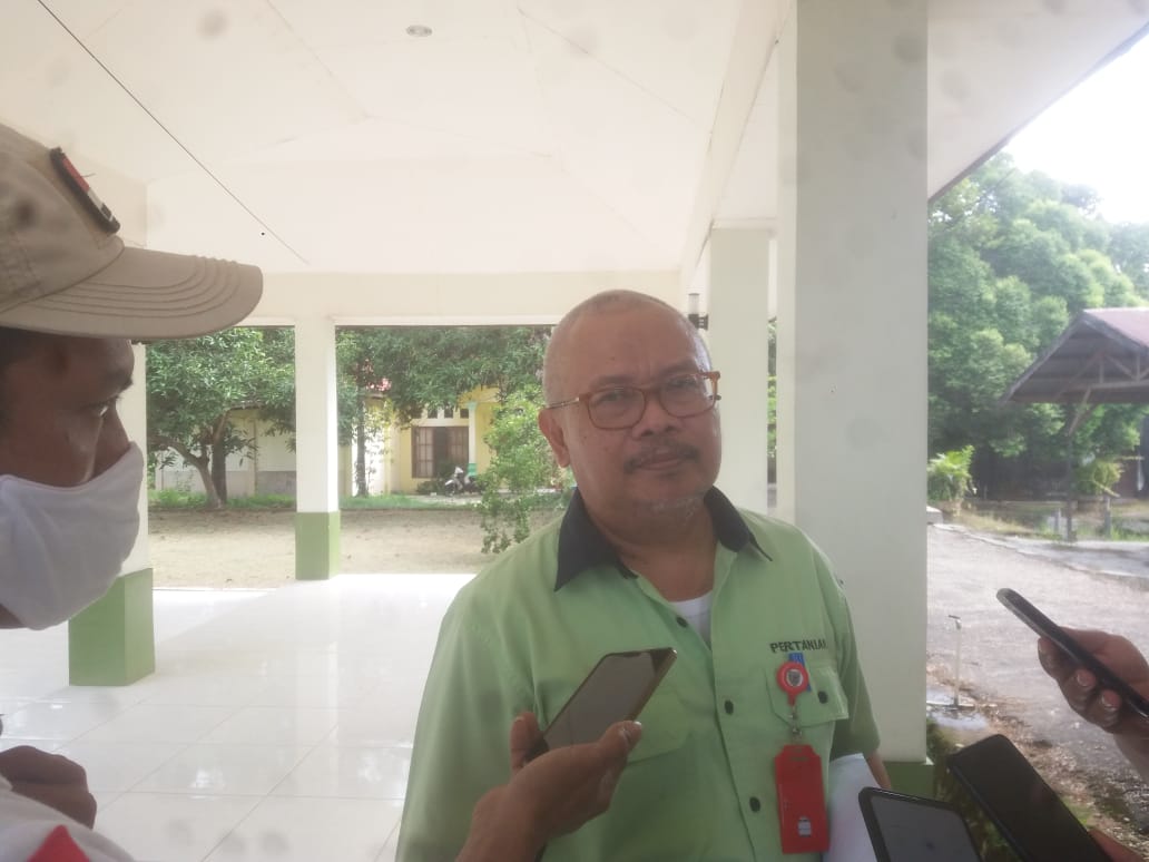 Ini Tujuan Pengeragaman Pertanian di Bartim