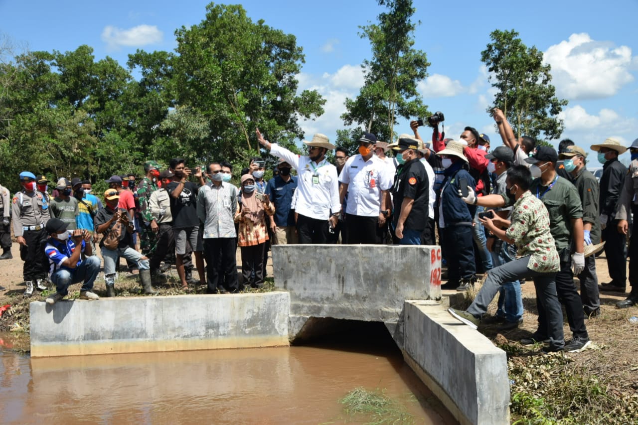 Mentan RI Tinjau Langsung Kesiapan Kalteng Jadi Kawasan Ketahanan Pangan
