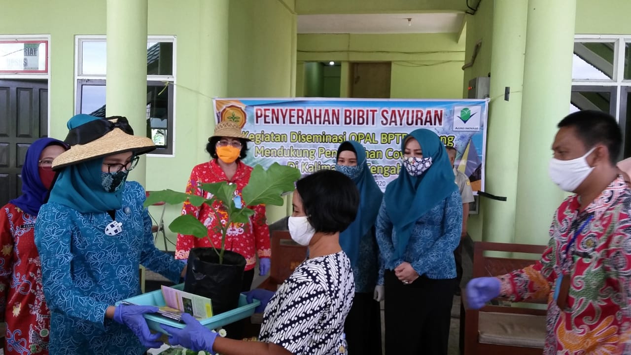 Ayo Manfaatkan Sisa Pekarangan untuk Bercocok Tanam