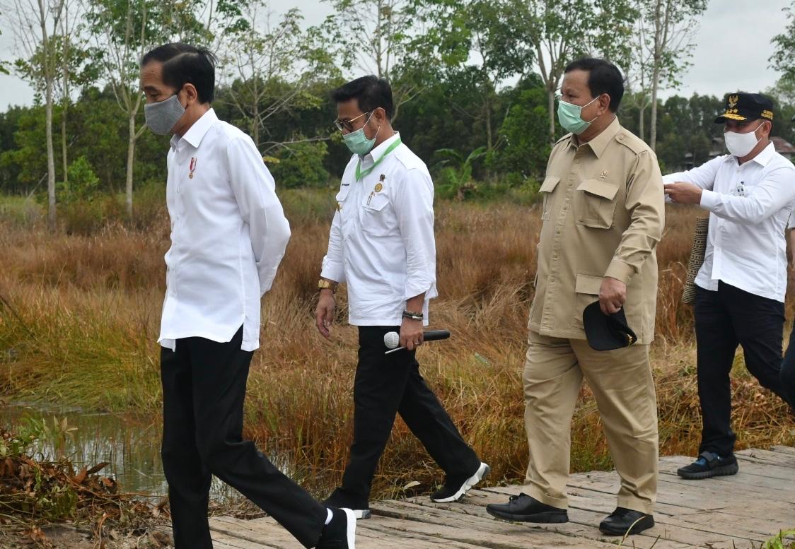 Ini yang Dilakukan Joko Widodo di Kawasan Food Estate