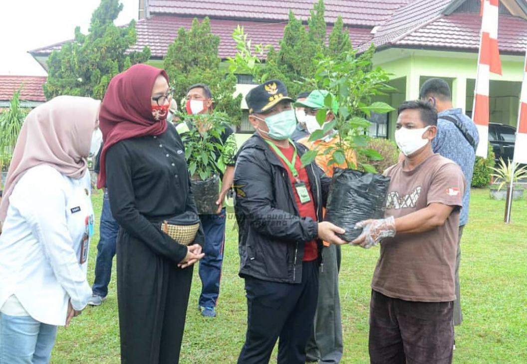 Peduli Petani, Sugianto Sabran Bagikan 25 Ribu Bibit Jeruk dan Cabai