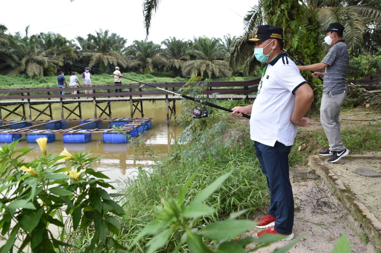 Kolam Ikan Salah Satu Solusi Pulihkan Ekonomi