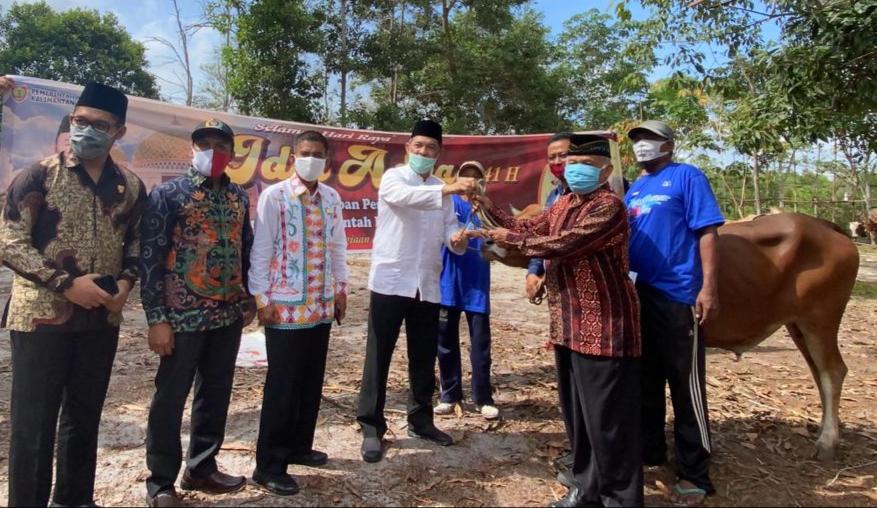 Kota Palangka Raya Dapat Jatah 64 Ekor Sapi Kurban
