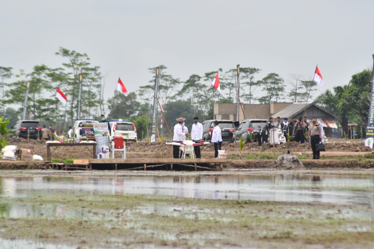 Pemanfaatan Teknologi Pada Program Food Estate Bikin Jokowi Tersenyum
