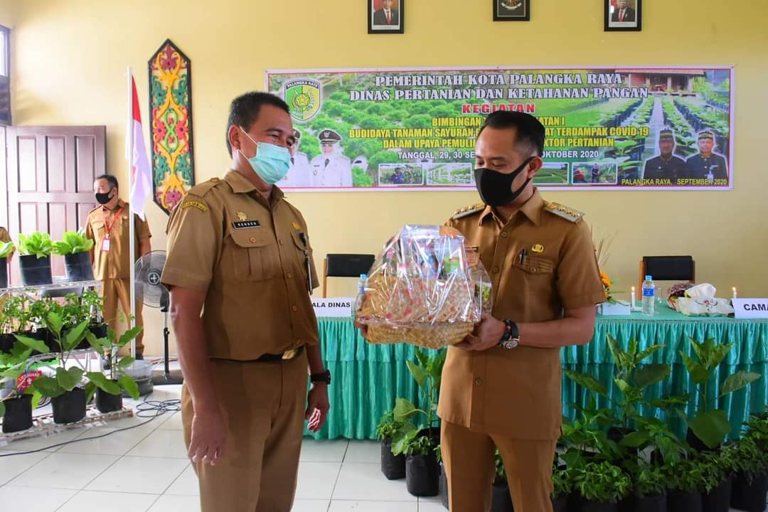 Manfaatkan Hasil Produk Lokal