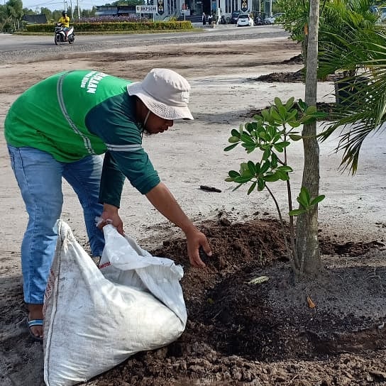 Wujudkan Palangka Raya Asri, Pemerintah Gencar Penghijauan