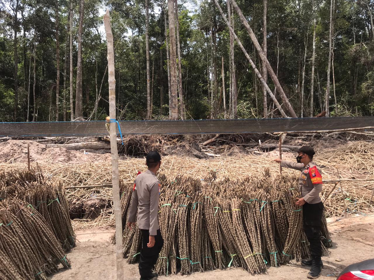Ini Bentuk Dukungan Polisi Terhadap Kesuksesan Program Food Estate