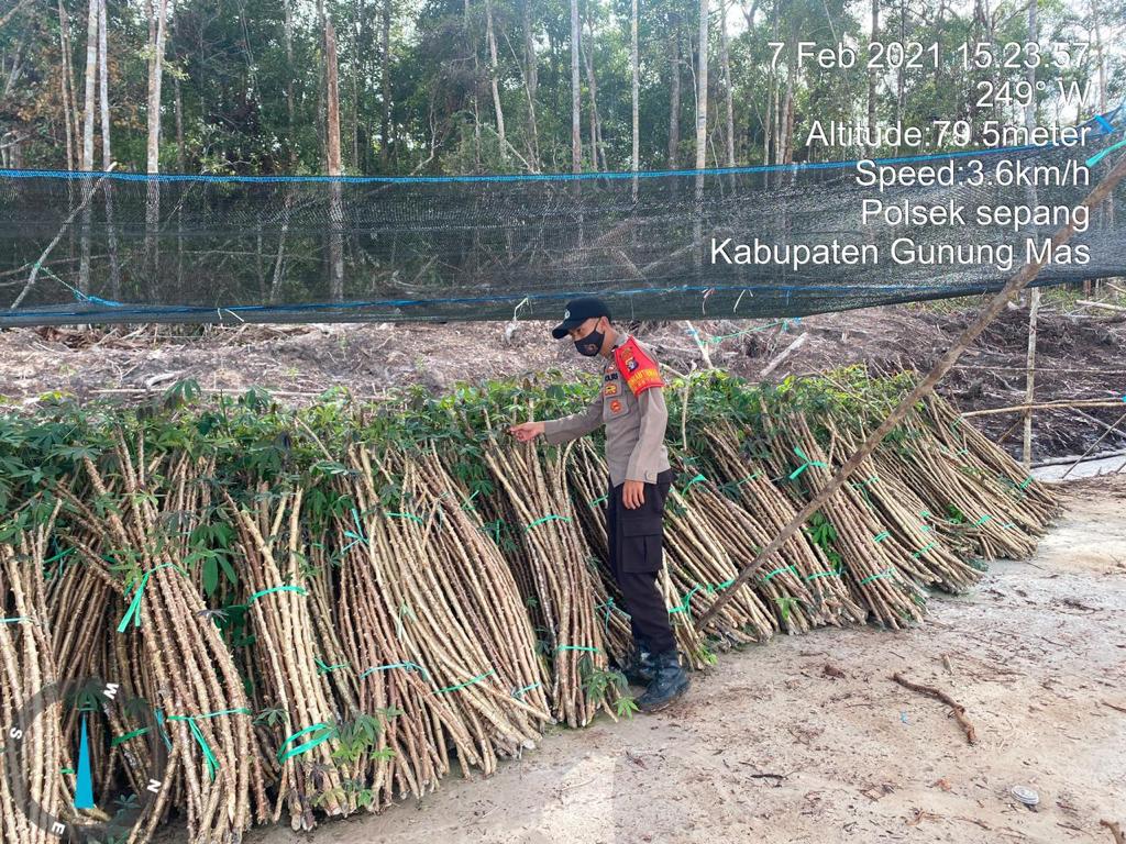 Polsek Sepang Rutin Tinjau Kawasan Food Estate