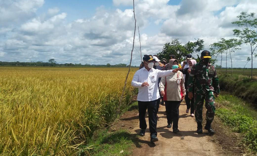 Ini Tujuan Gubernur Kalteng Kunjungan Kerja ke Dadahup