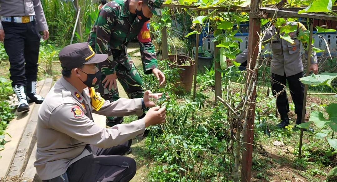 Polsek Kahut Rutin Cek Ketahanan Pangan