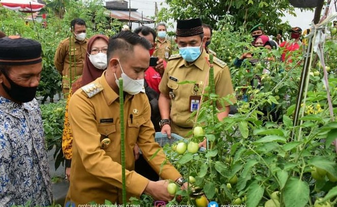 Manfatkan Lahan Kosong Jadi Produktif