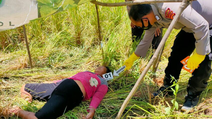 Wanita Paruh Baya Desa Teluk Meninggal Dunia Disengat Tawon