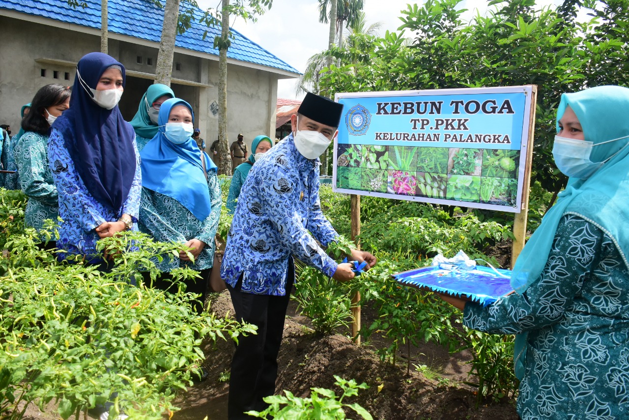 Penyuluh pertanian Diharapkan Proaktif Sosialisasi dan Edukasi Pencegahan Karhutla