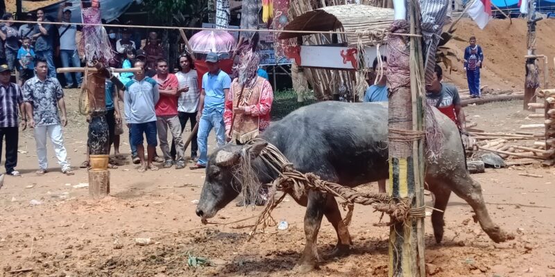 “Tiwah” Ritual Suku Dayak yang Terus Diaktualisasikan