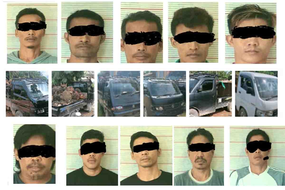 Sepuluh Pria Pencuri Buah Sawit di Ringkus Polisi