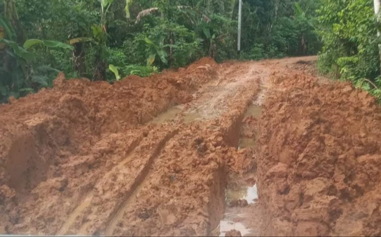 Terkait Jalan Rusak, Dewan Barsel Bakal Turun Lapangan