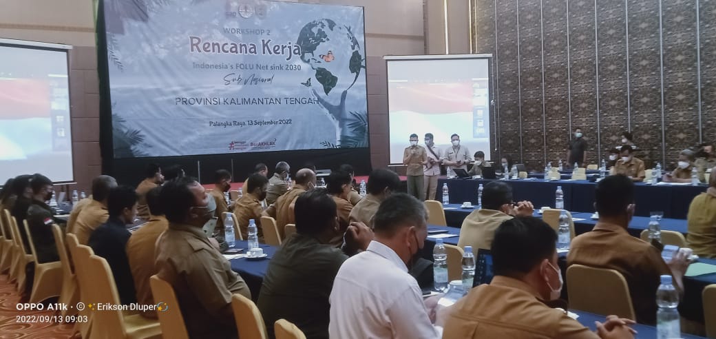 Kalteng Ditarget Serap 43 Persen dari 140 juta Gas Rumah Kaca