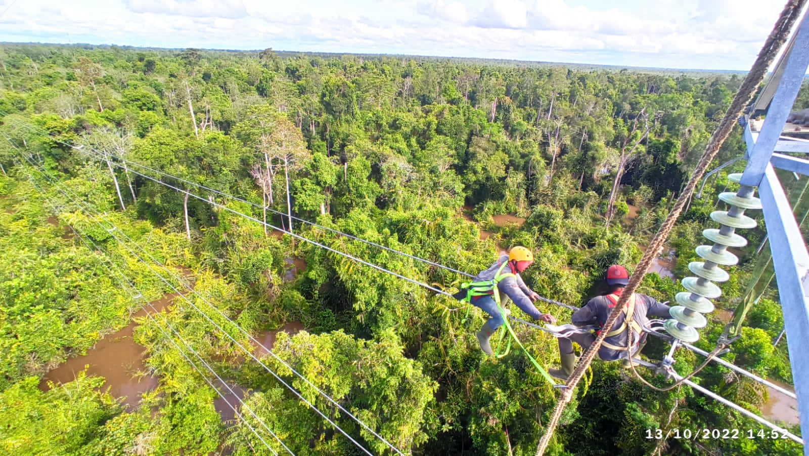 Akibat Pohon Tumbang, Listrik di 2 Kabupaten Padam Total