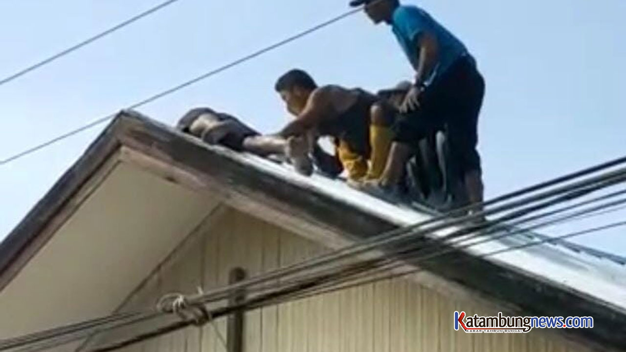 Perbaiki Atap Bocor, Saparudinur Tersengat Listrik