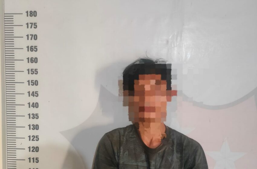 Polisi Tangkap Pencuri Sarang Walet di Gumas
