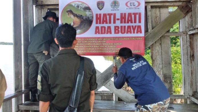 BKSDA Pasang Spanduk Peringatan di Lokasi Kemunculan Buaya