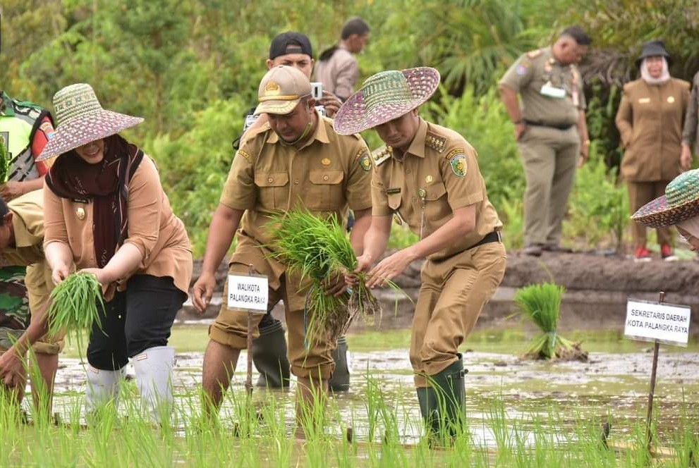 Penanaman Padi Sebagai Upaya Dukung Ketahanan Pangan