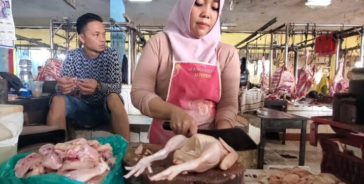 Kekurangan Pasokan Sebabkan Harga Ayam Melonjak