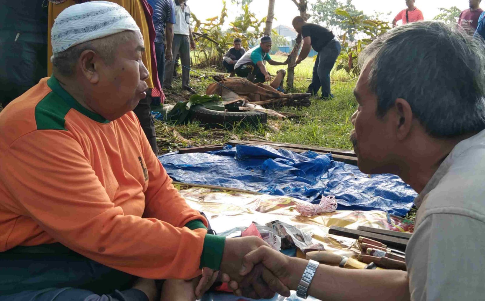 Lebaran Idul Adha 1444 H, SMA Negeri 2 Sampit Potong 2 Ekor Sapi