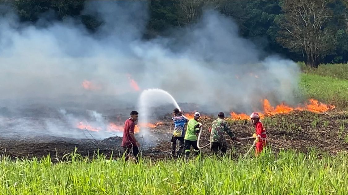 Keterangan Foto : Peristiwa kebakaran hutan dan lahan (Karhutla), di wilayah Kota Palangka Raya, belum lama ini.