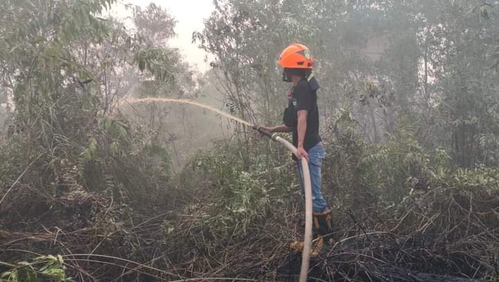 Pemerintah dan Elemen Masyarakat Diharapkan Bersama-Sama Antisipasi Potensi Kejadian Karhutla