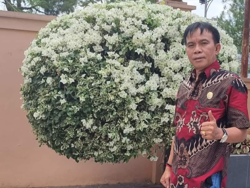 Dewan Berharap Tenaga Pengajar Lebih Profesional