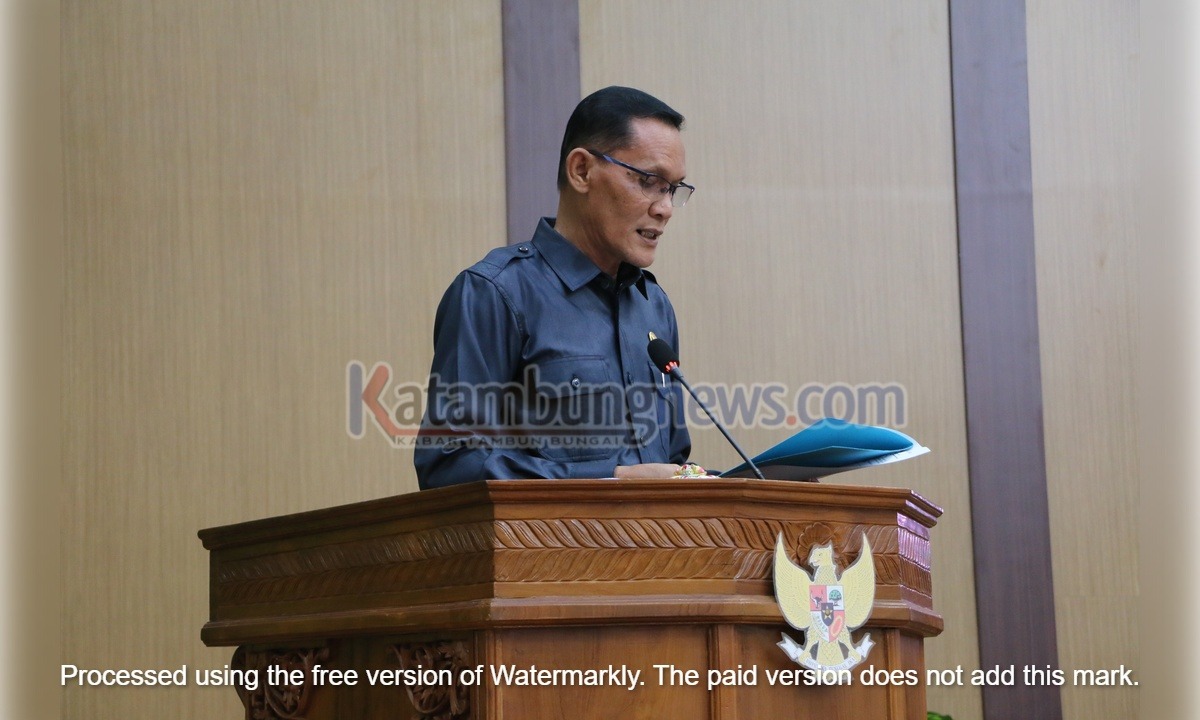 Eterly Jelaskan Latar Belakang Hasil Penyusunan RPJPD Katingan 2025-2045